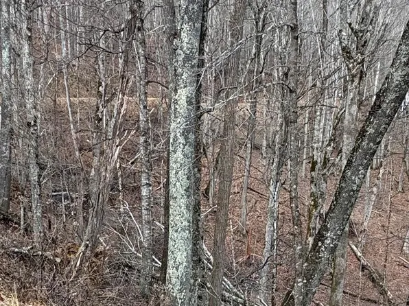 0 Spring Brook Dr #314, Mars Hill, NC 28754