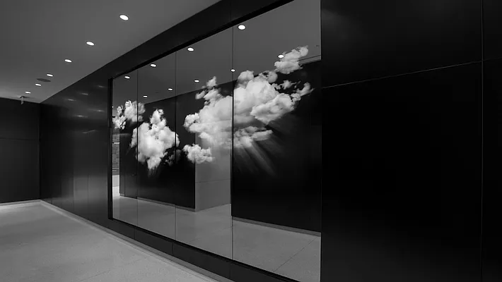 Rented by Two Trees | media 39