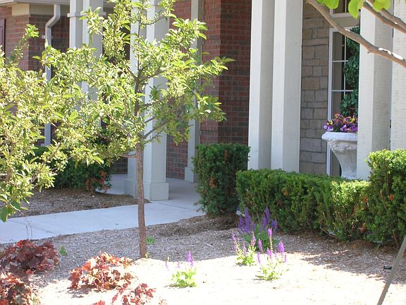 5th image of 28196 Oakmonte Cir E #1