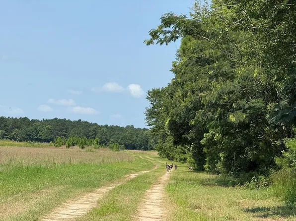 Tick Bite Rd, Grifton, NC 28530