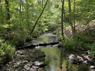 283 Dyestone Springs Rd, Hohenwald, TN, 38462