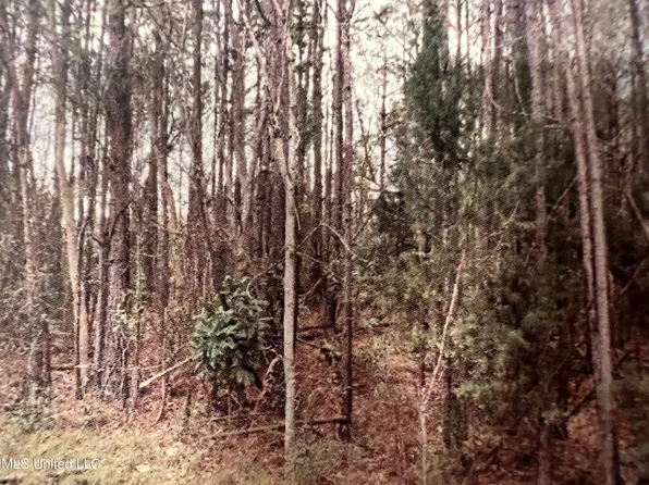 Neshoba St, Biloxi, MS 39532