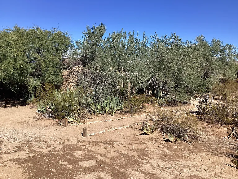 6550 N Annies Ln — Photo 30