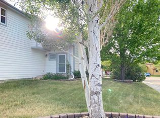 10399 Falcon Ct, Firestone, CO 80504