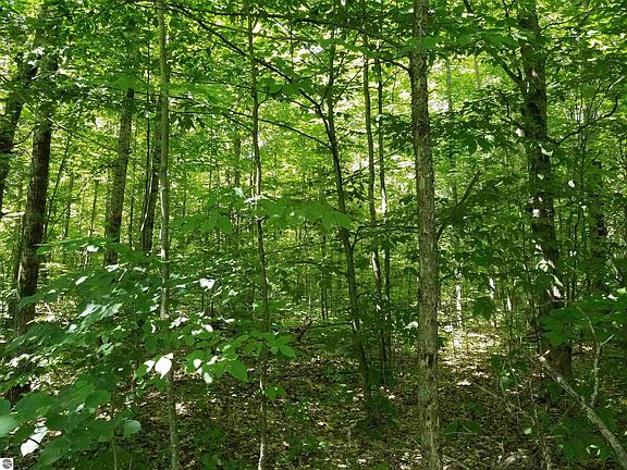3rd image of 0 Woodridge Acres