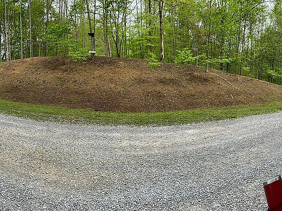 Plenty of dogwood trees