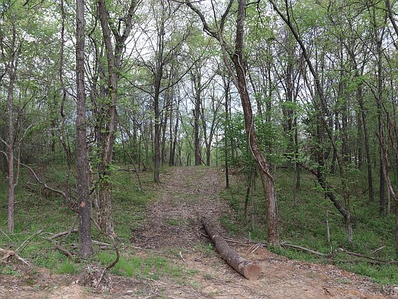 4th image of N Moonbeam Ln