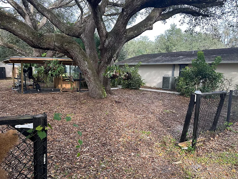 Side of house