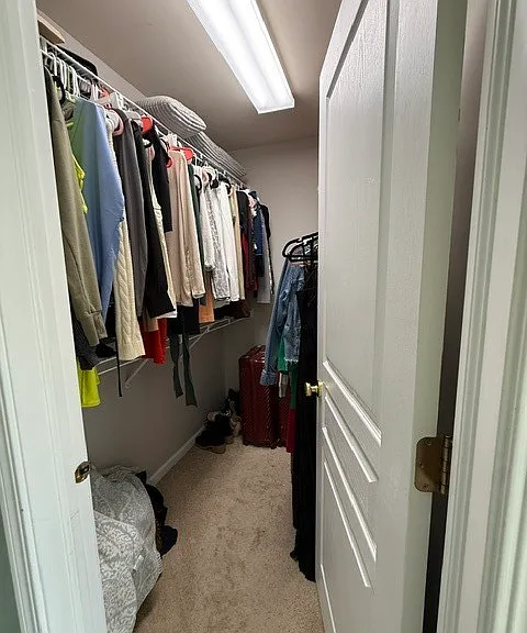 477 Belvedere Ln — Photo 10