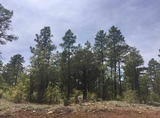 1221 W Snow Creek Trl, Show Low, AZ 85901