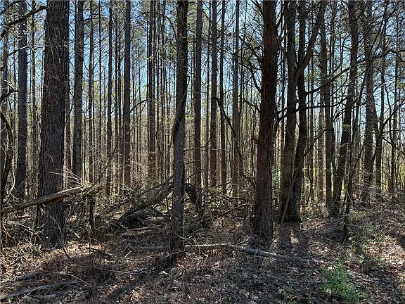 2nd image of 0 Henderson Mountain Rd