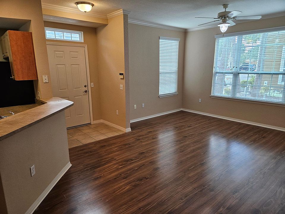 Entrance and living room