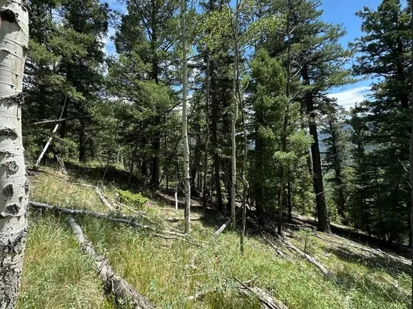 TBD Calkins, Jasper, CO 81146