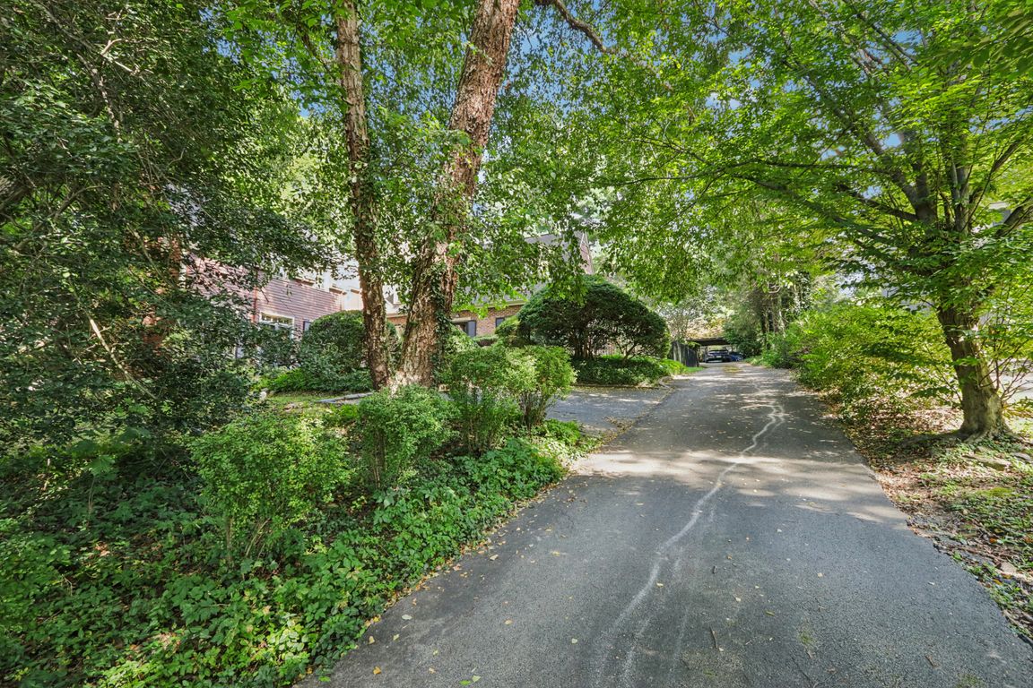 W Springfield Ave-S3008-001.jpg