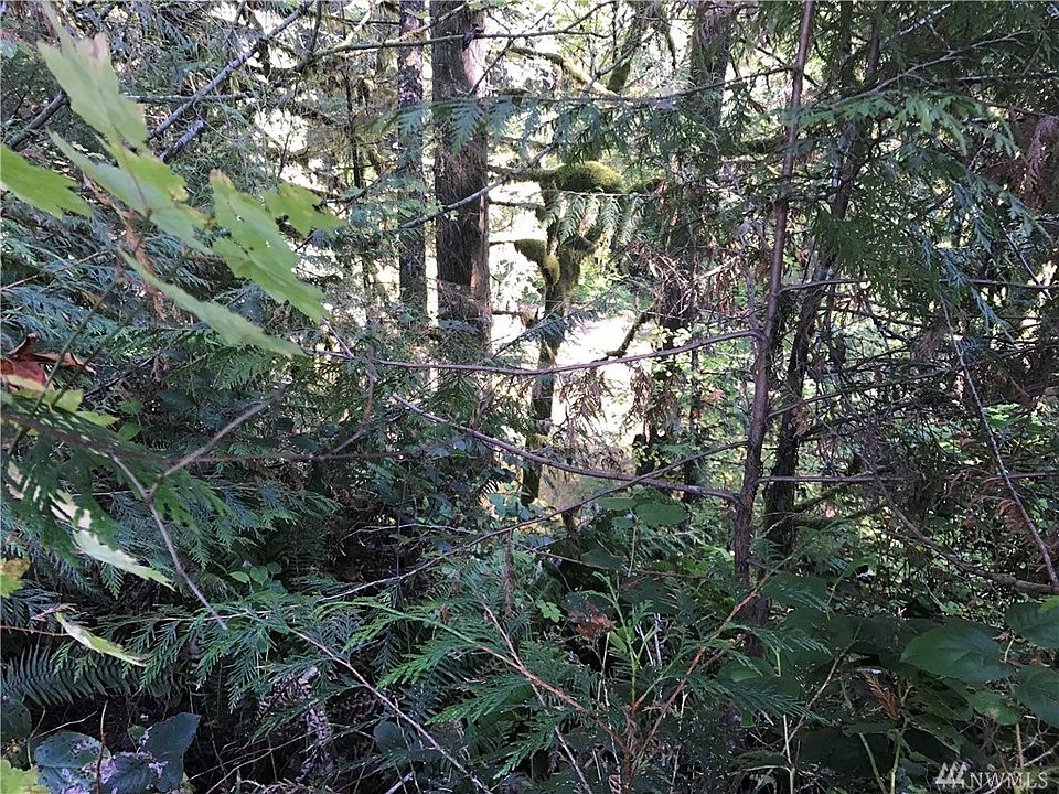 1st image of 1370 W Satsop Maple Gln