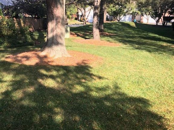 5th image of 61 Stevens Dr