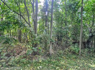 Vl N Blacks Corners Rd, Imlay City, MI 48444