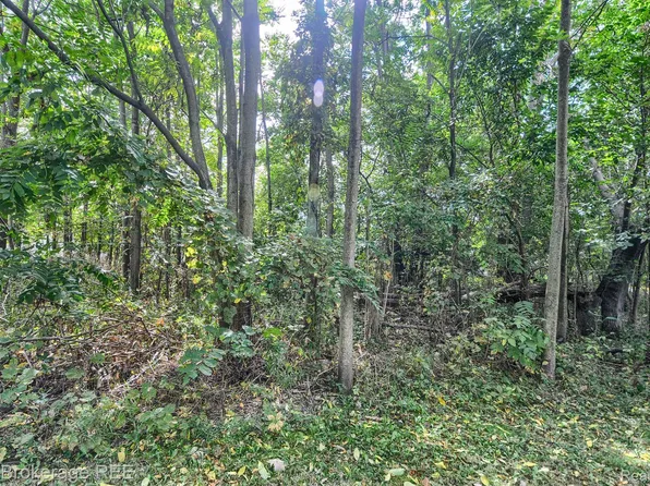 Vl N Blacks Corners Rd, Imlay City, MI 48444