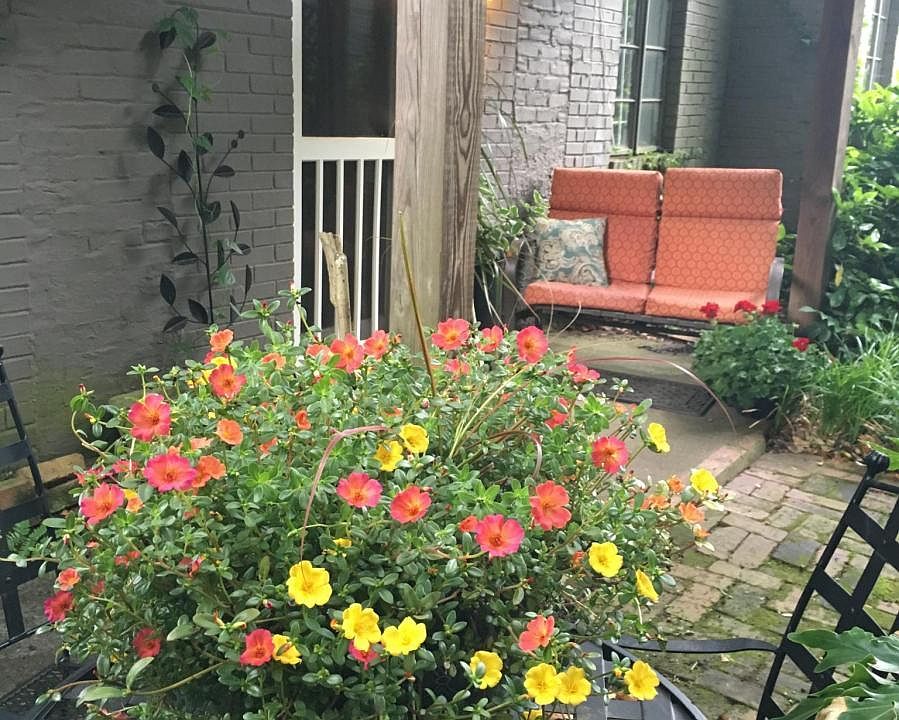 Front porch and courtyard