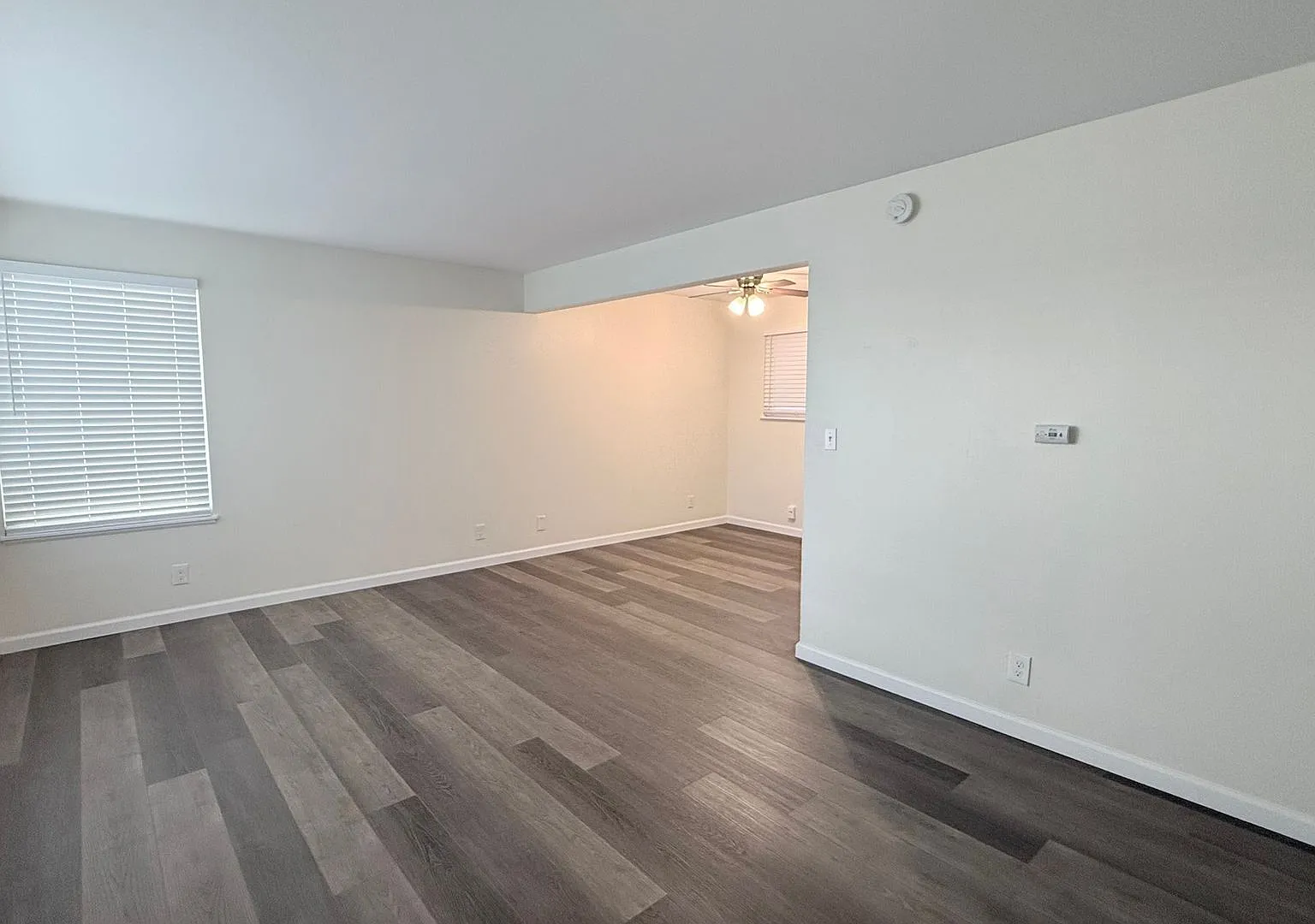 EBN T 14723 — Photo 4