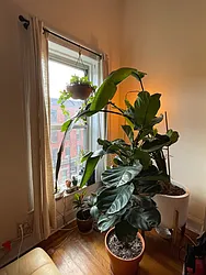 Rented by Realty Collective