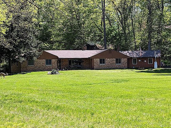 Front view with wildlife!