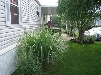 Another view of front yard