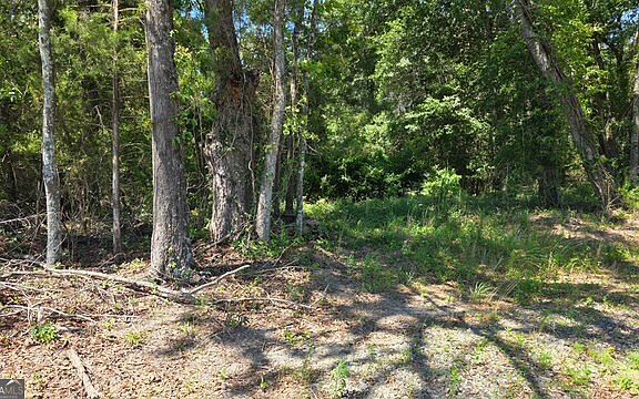 4th image of 0 Willow Lake Rd