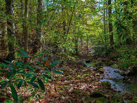 3rd image of 1 Bogard Creek Way Lot 0