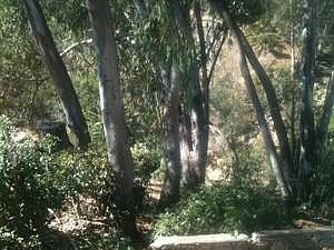 Canyon Access