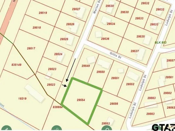 Marion St, Palestine, TX 75803