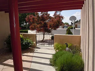 Main Entry Courtyard