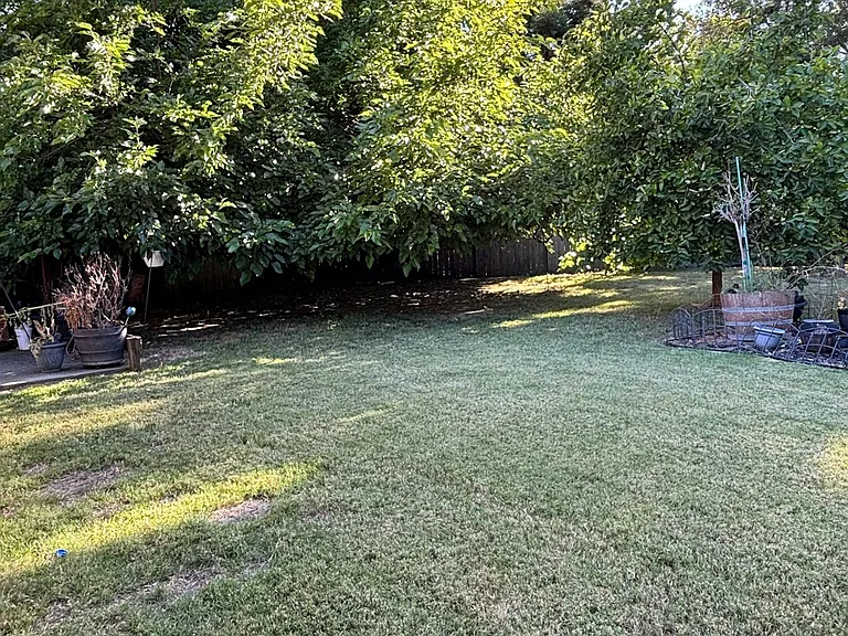 3616 Wood Duck Cir — Photo 91