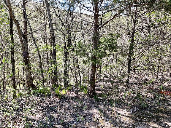 3rd image of Lot #46 Gumbo Woods