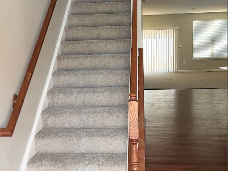 6525 Cluster Pine Ct — Photo 3