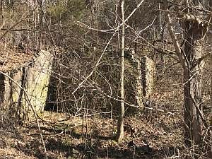 3rd image of 507 Marion County #3001