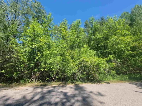 E Maple St, Gladwin, MI 48624