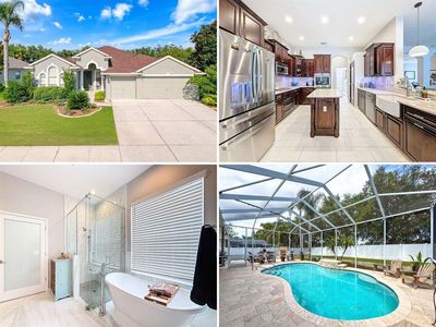 2326 Mountain Ash Way, New Port Richey, FL, 34655