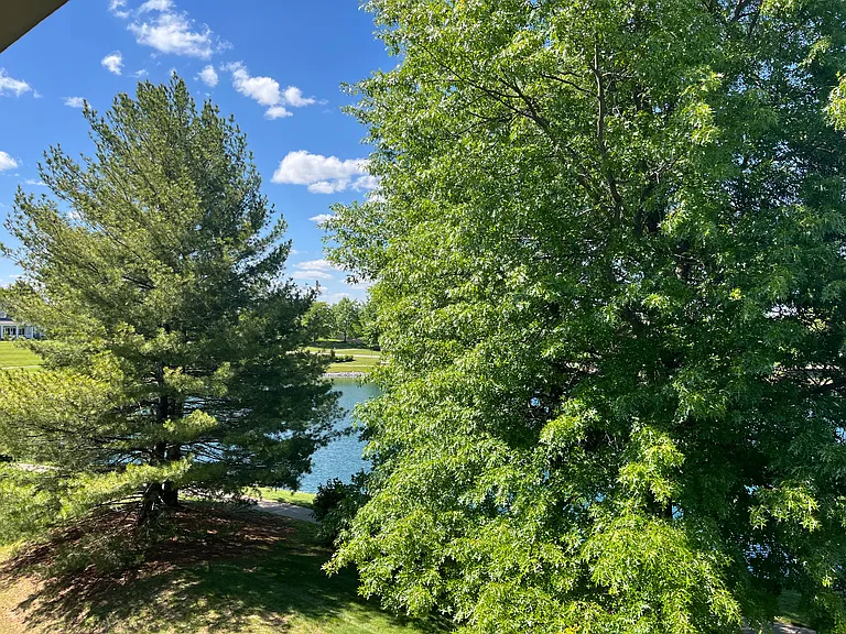 1884 Mimosa Trl — Photo 11