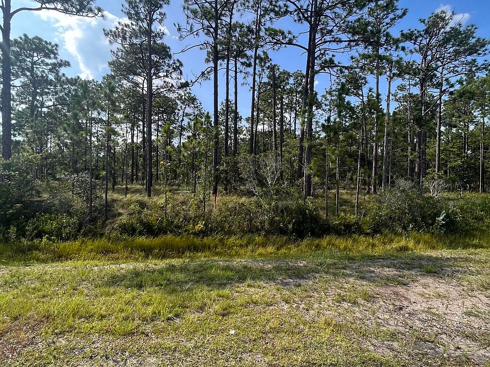 2nd image of L-38 Cougar Road