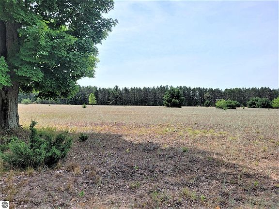 5th image of 11849 Meadowpine Dr