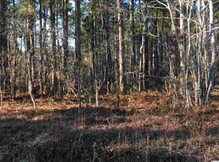 Willard Rd, Conway, SC 29526