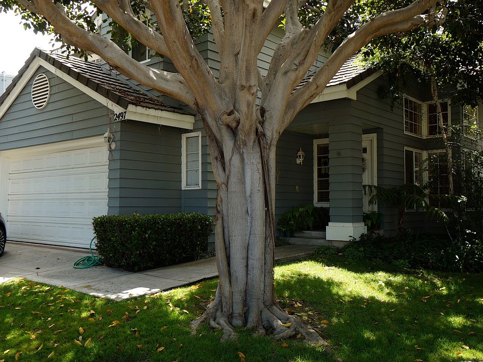 2nd image of 2497 Baybridge Ct