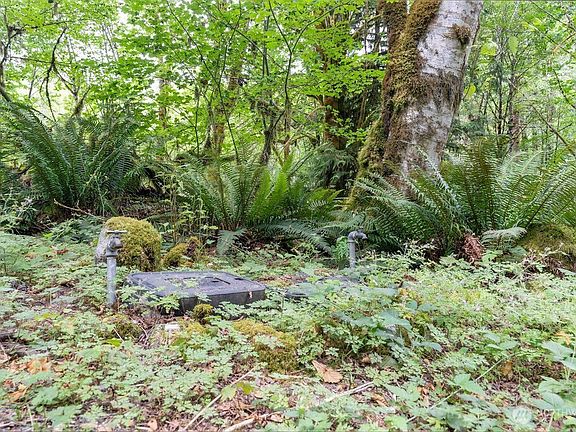 5th image of 872 High Ridge Drive