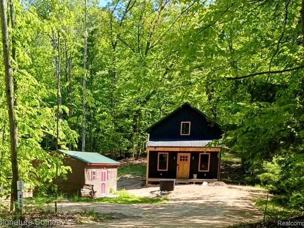 229 Forest Trl, Leroy, MI 49655