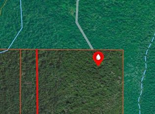 0 S River Rd, Fife Lake, MI 49633
