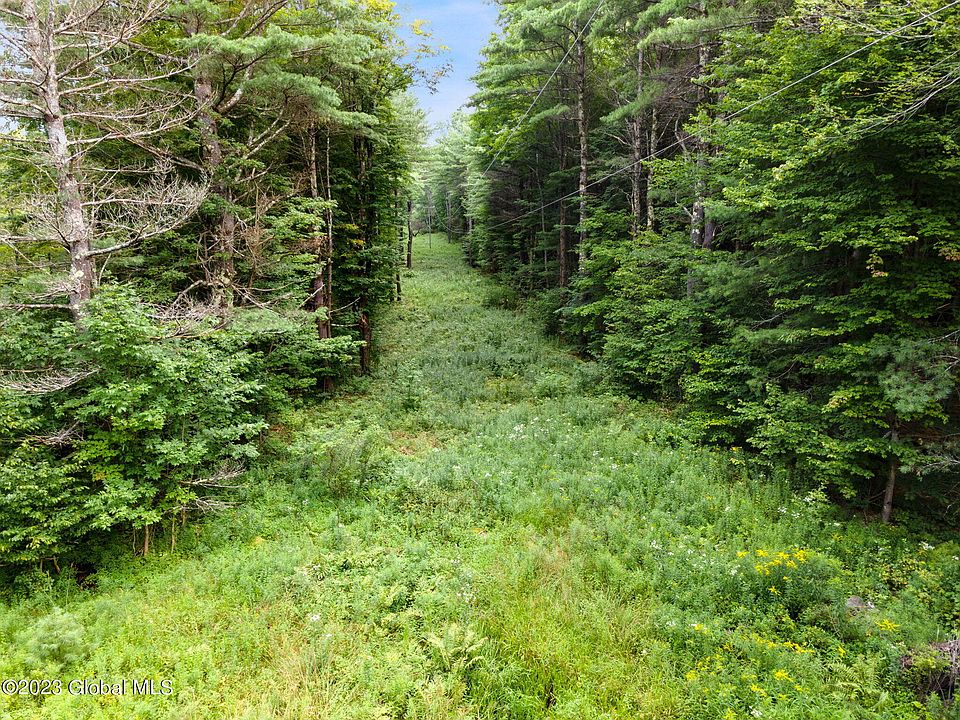 L3 Cornell Road, Stamford, NY 12167 Zillow