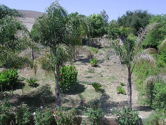 5th image of 1766 Diamond Valley Ln