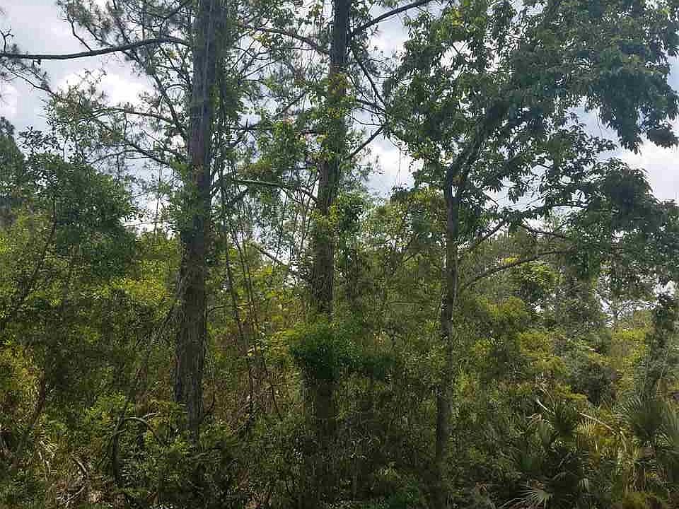 2nd image of 441 McLeod Rd
