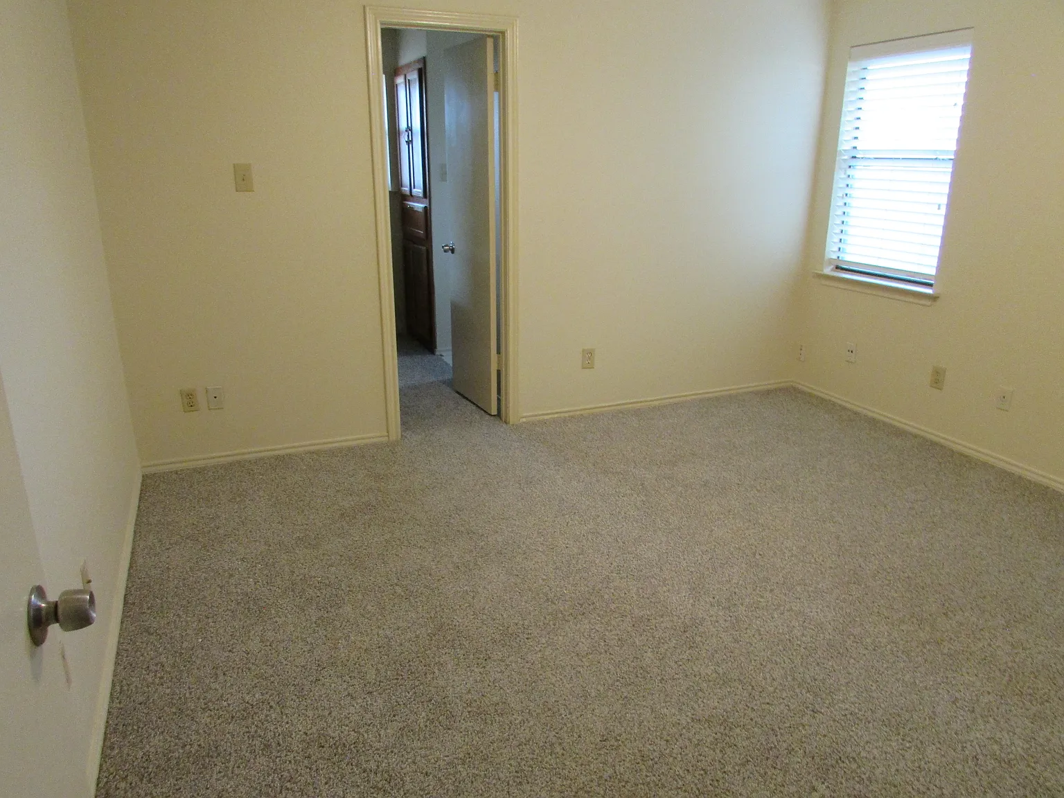 320 Bowie St — Photo 4